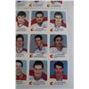 Image 3 : Calgary Flames 1987-88 Red Rooster 20-Card Set on (2) Sheets