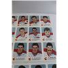 Image 4 : Calgary Flames 1987-88 Red Rooster 20-Card Set on (2) Sheets
