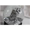 Image 2 : Christmas Snow Globe