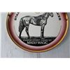 Image 2 : Stampede Futurity Stakes Winner 1971 Collectors Plate - Hycroft China