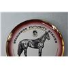 Image 3 : Stampede Futurity Stakes Winner 1971 Collectors Plate - Hycroft China