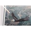 Image 3 : 1994 Paul Rankin Eagle Framed Print - 26" x 21"