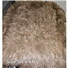 Image 1 : Shag Rug