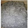 Image 1 : Shag Rug