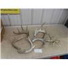 Image 1 : 8 Deer Sheds