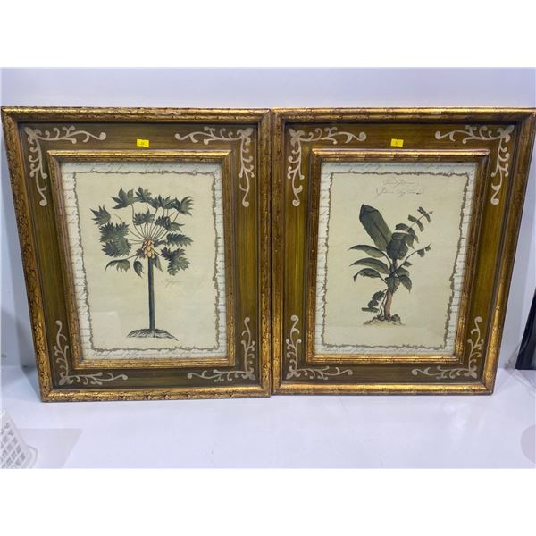 Pair of Palm Tree Pictures in Decorative Wooden Frames