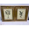 Image 1 : Pair of Palm Tree Pictures in Decorative Wooden Frames