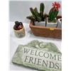 Image 2 : Collection of Decorative Ceramic and Terra Cotta Pieces plus Cacti