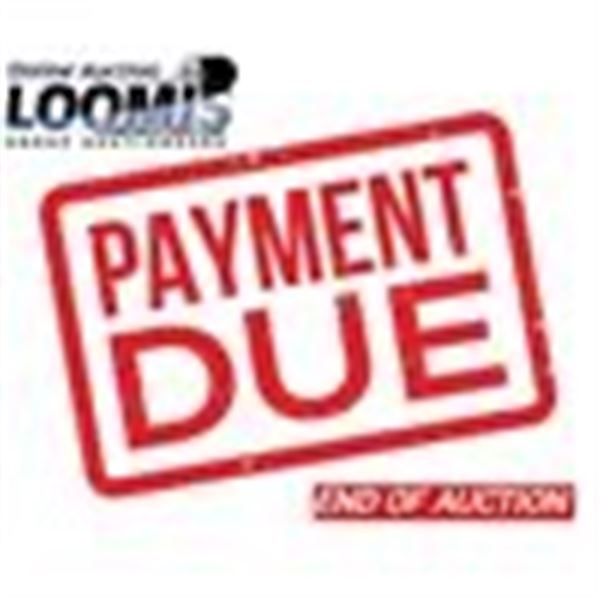 END OF AUCTION . TIME TO PAY AND PICK UP!