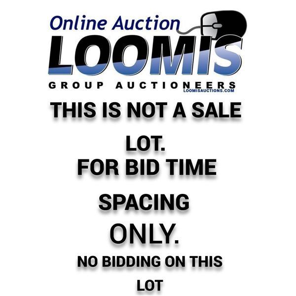 LOT SPACER / NOT FOR BIDDING NOT BIDS ACCEPTED
