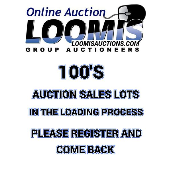 LOT/ ITEMS  LOADING IN PROGRESS . PLEASE CHECK BACK