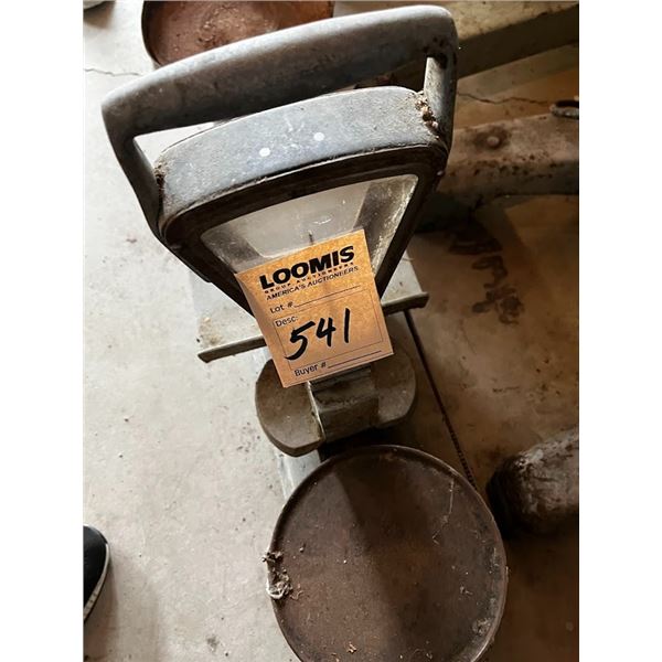 LARGE WEIGHT SCALE