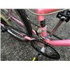 Image 3 : GIRLS MNT BIKE/ GOOD CONDITION