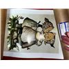 Image 3 : S/5 GOEBEL 13.5 X 18" ASST PRINTS (NEW IN THE TUBES)