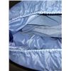 Image 2 : AIR BED   LOT