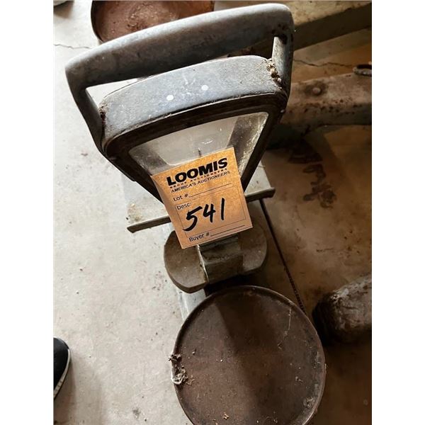 LARGE WEIGHT SCALE