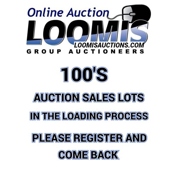 LOT/ ITEMS  LOADING IN PROGRESS . PLEASE CHECK BACK