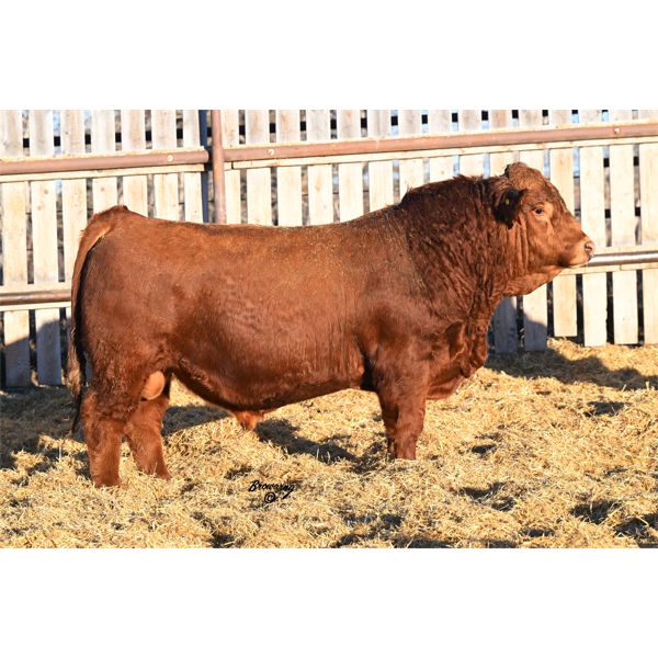 Red Soder WHISKEY 828K