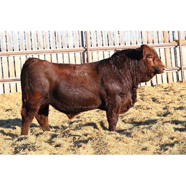 Soder HAMMERTIME 677K