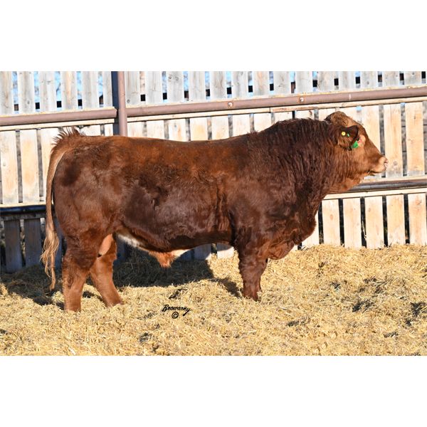 OUT - Red Soder WHISKEY 690K