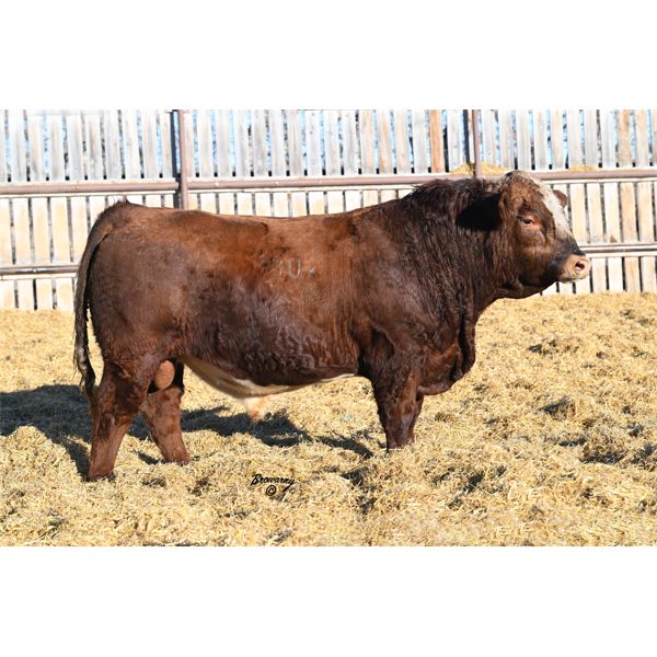 Red Soder WHISKEY 830K