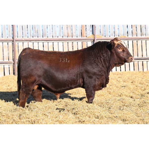 Red Soder TOP GUN 331K