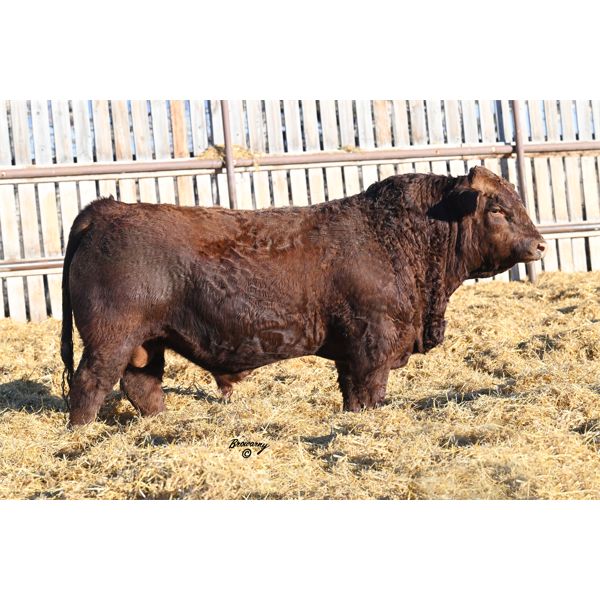 Red Soder WHISKEY 395K