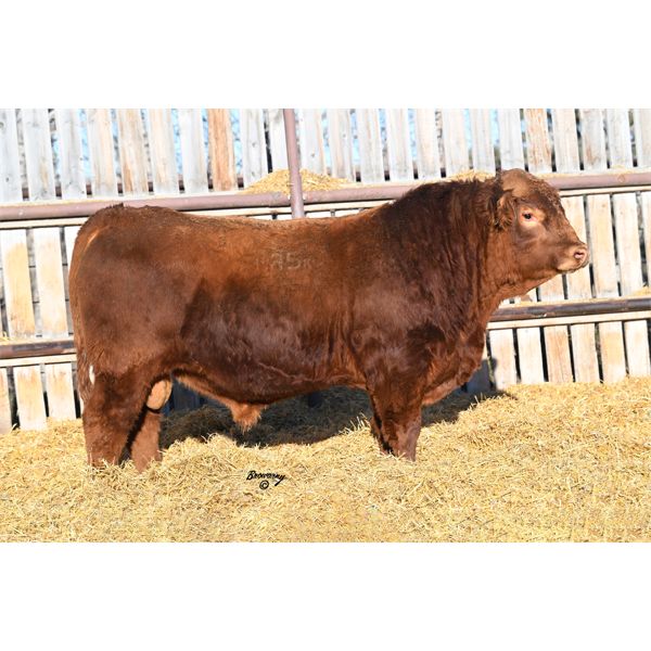 Red Soder MAXIMUM M85K