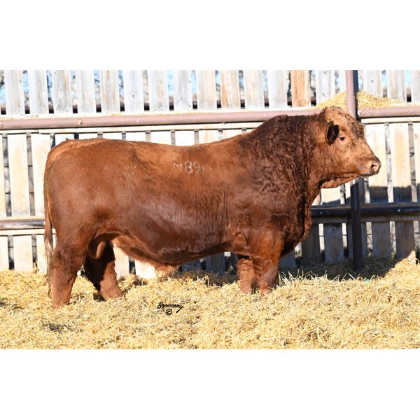 Red Soder MAXIMUM M89K