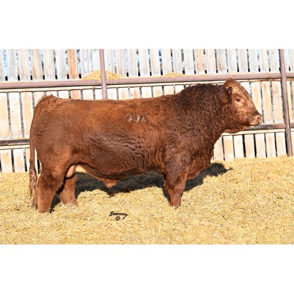 20 - Red Soder WHISKEY 399K