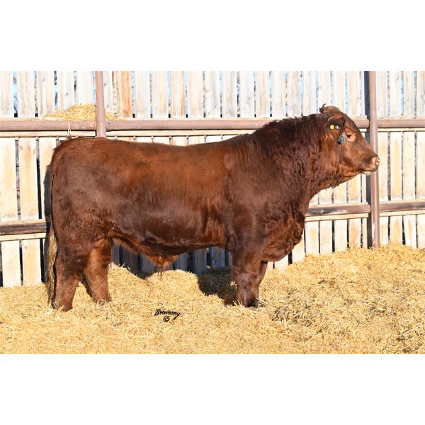 Red Soder TOP GUN 405K