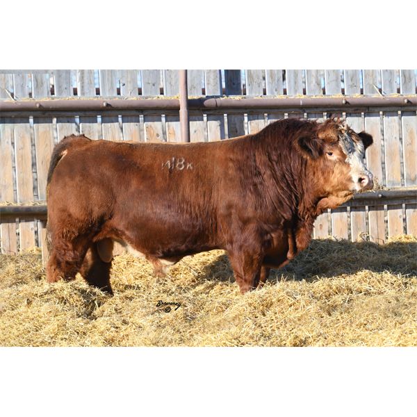 Red Soder HORIZON M18K