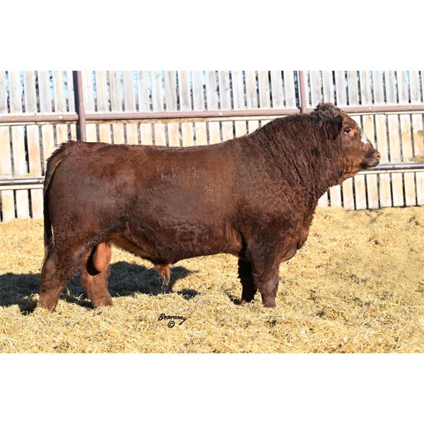 Red Soder HORIZON M100K