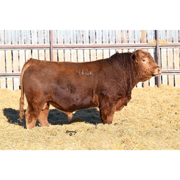 Red Soder TOP GUN 412K