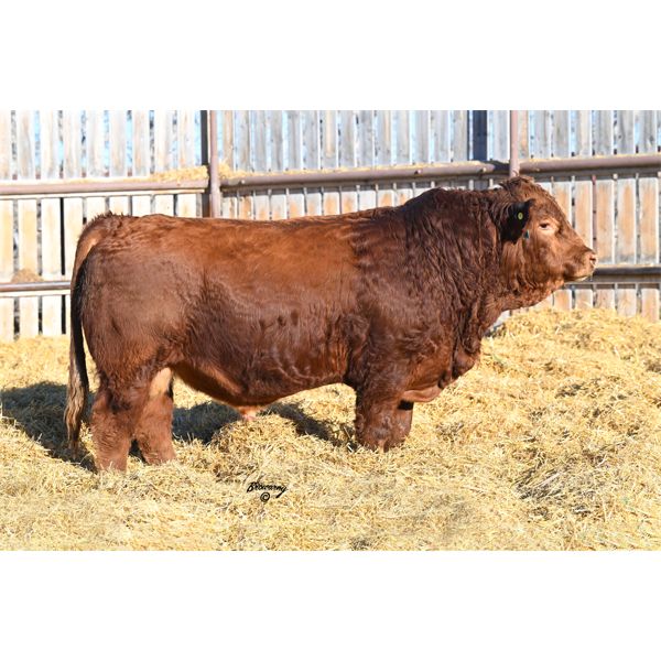 Red Soder HORIZON M13K