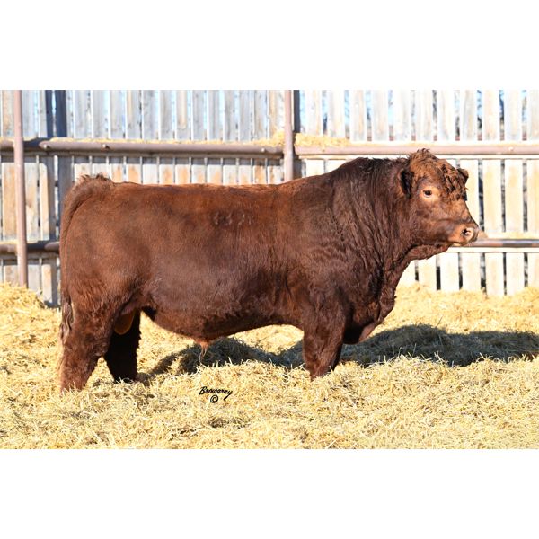 Red Soder MONARCH 439K