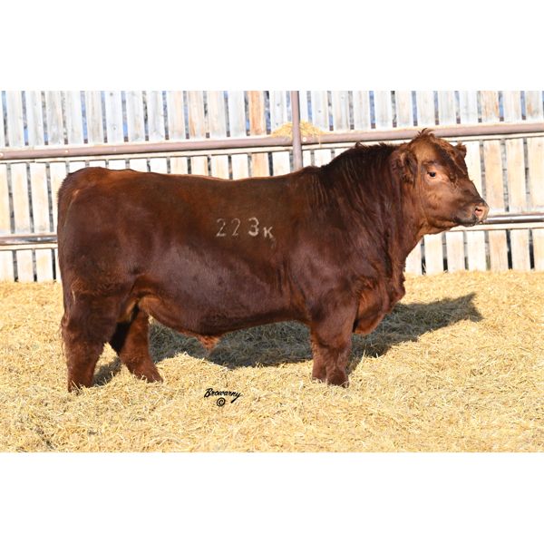 Red Soder MONARCH 223K