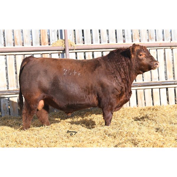 Red Soder MONARCH 264K