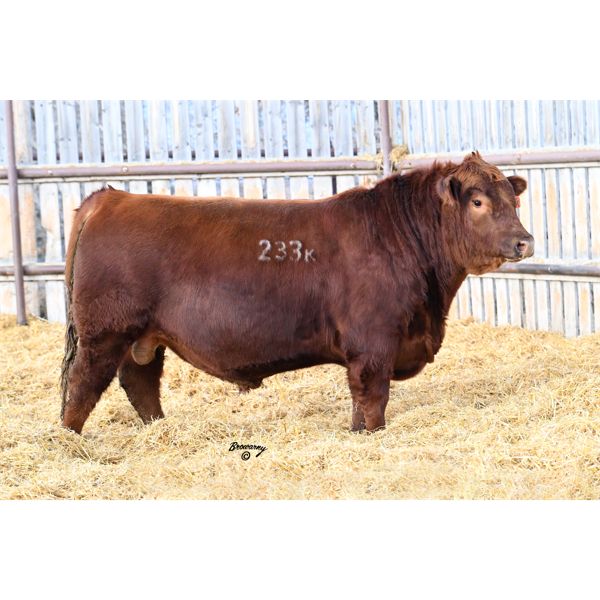 Red Soder MONARCH 233K