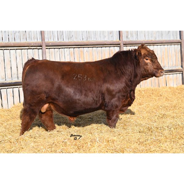 Red Soder MONARCH 253K