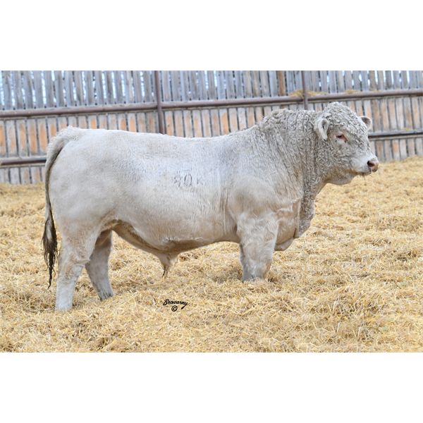 Soder AUTHORITY 580K