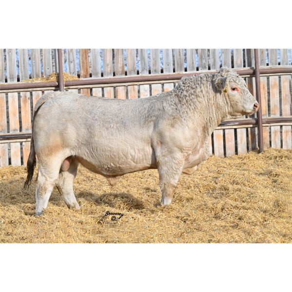 Soder HIGH CALIBER 574K