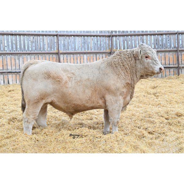 Soder DISTINGUISHED 755K