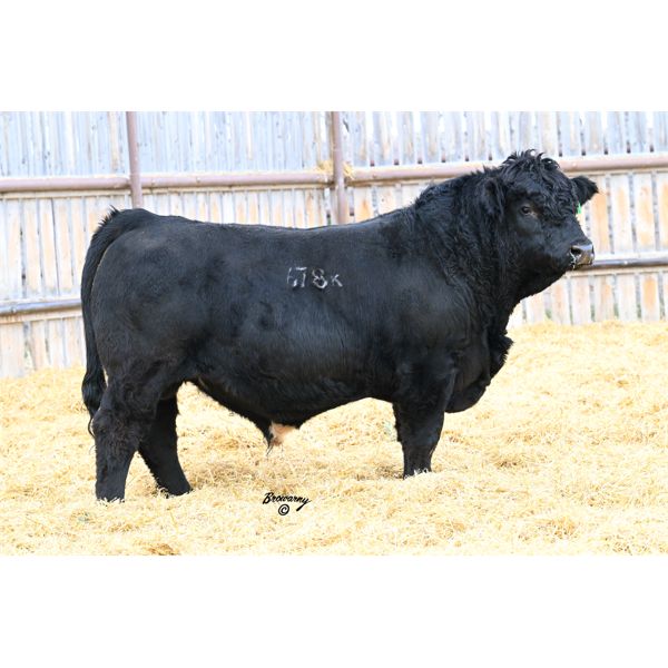 Soder HAMMERTIME 678K