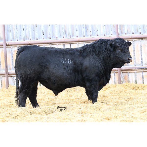 Soder TIPPING POINT 668K