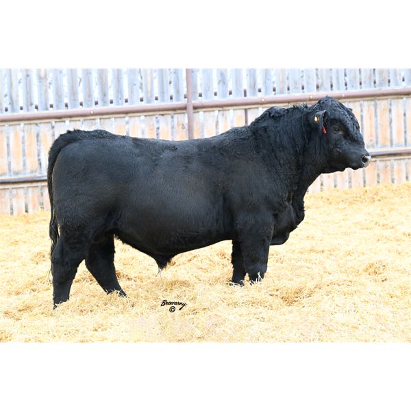 Soder HAMMERTIME 812K