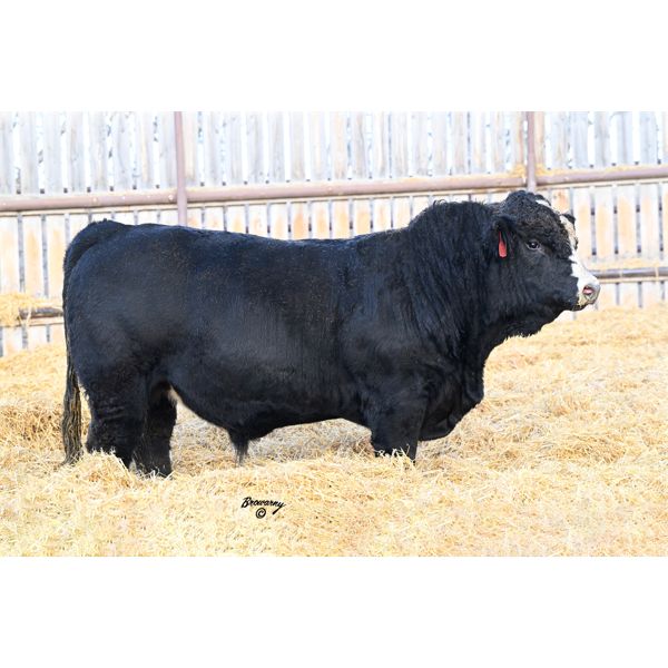 Soder TIPPING POINT 806K