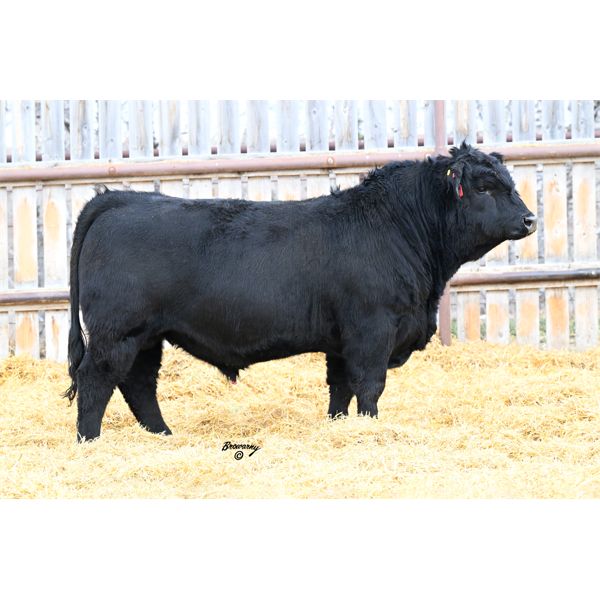 Soder HAMMERTIME 816K