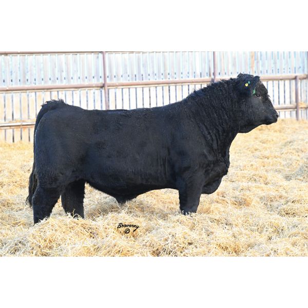 Soder HAMMERTIME 652K