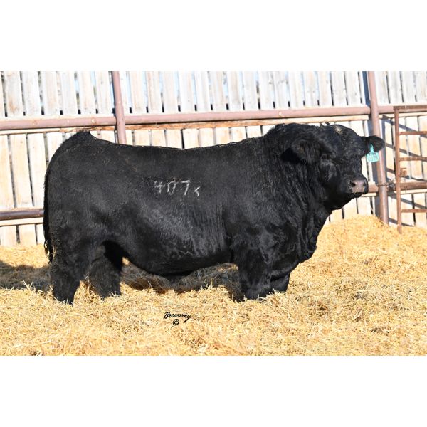 Soder SINGLETARY 407K